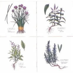 Hot Sale ✨ Mottles Murals Ceramic Tiles Green Herb Ceramic Tile Chives Spearmint Sage Rosemary, 4-Piece Set 🔔