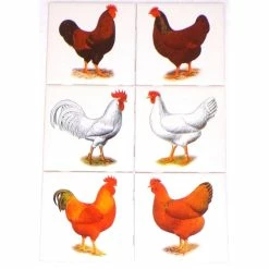Coupon 👍 Mottles Murals Ceramic Tiles Rooster And Hen Kiln Fired Ceramic Tile Backsplash Chicken, 6-Piece Set 🔔