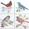 Buy 😀 Mottles Murals Ceramic Tiles Beautiful Birds Ceramic Tile Set 4 Of 4.25" X 4.25" Kiln Fired Song Bird Decor A 🔥