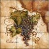 Best reviews of 😀 The Tile Mural Store (USA) Tile Mural, Tuscan Grapes I By Tre Sorelle Studios 🥰